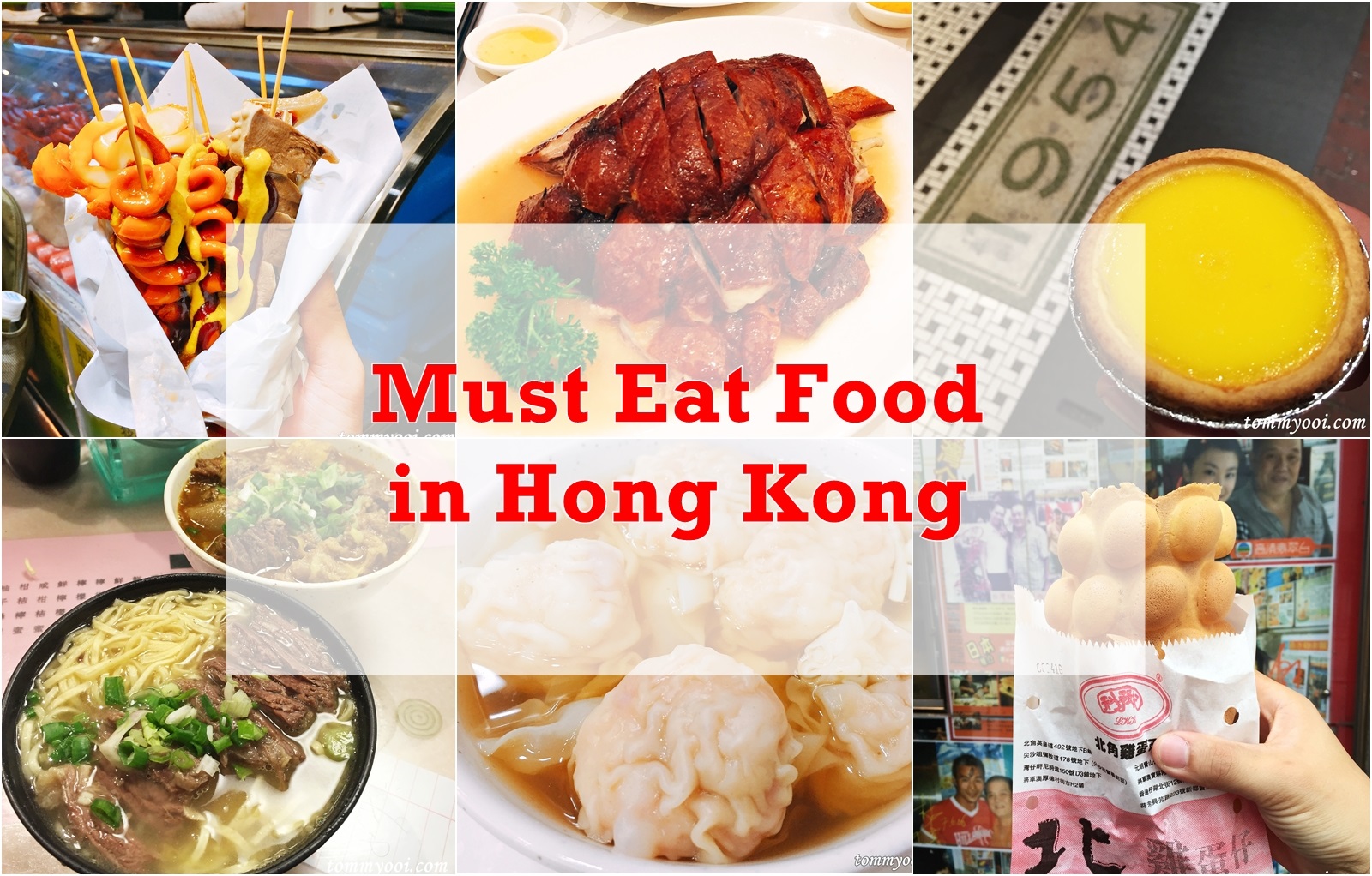 17 Must Eat Food in Hong Kong - Tommy Ooi Travel Guide